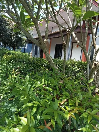 Airee Mini House – Foto’s 13